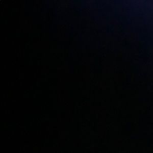 Meet your Posher, Will